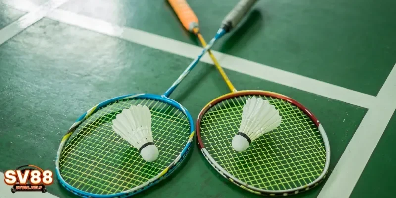 Trải Nghiệm Cá Độ Cầu Lông – Đặt Cược Dễ, Ăn Tiền Nhanh