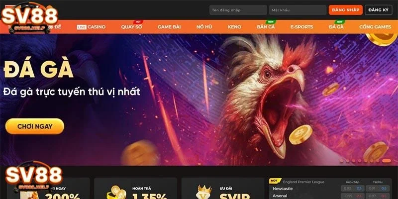 Từng bước đăng nhập tài khoản dễ dàng