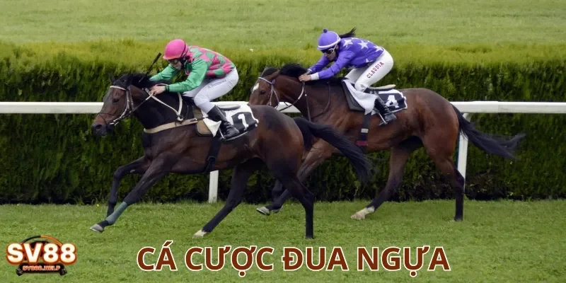 Cược thủ chọn cược đua ngựa để đặt cược nhanh chóng