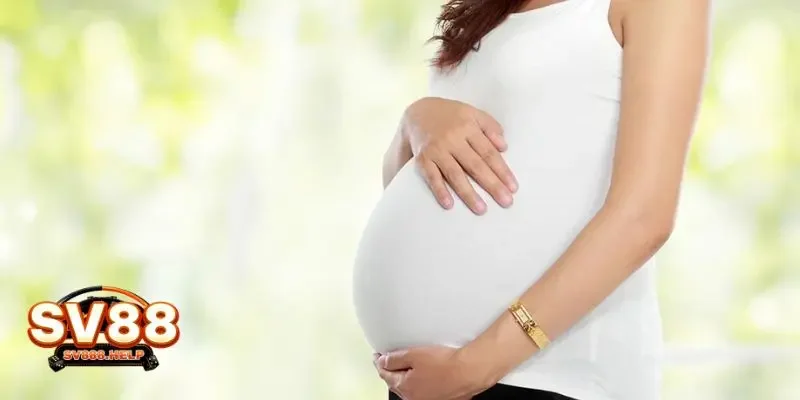 Ngủ Mơ Thấy Mình Có Bầu Là Điềm Báo Cho Điều Gì Hay Nhất