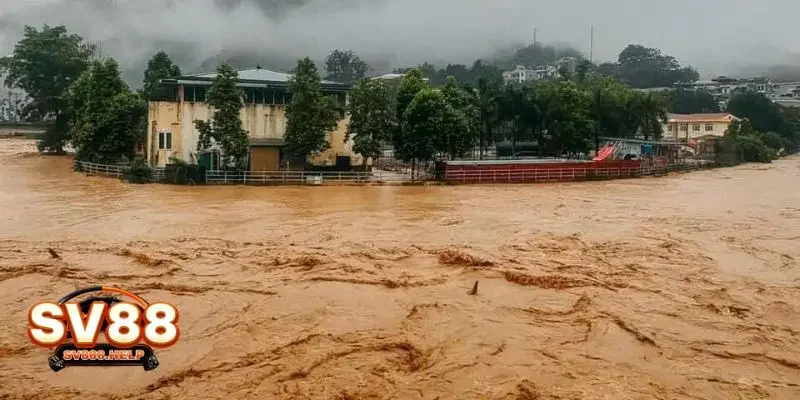 Ý nghĩa chung ngủ mơ thấy lũ lụt là điềm gì cho tương lai